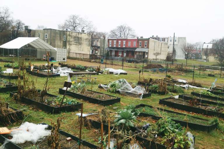 Mantua Neighborhood Gardens Trust