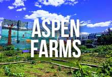 aspen_farms