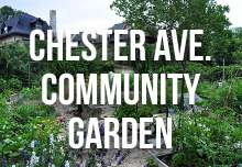 chester_ave