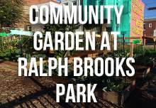 community_garden_at_ralph_brooks
