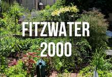 fitzwater_2000