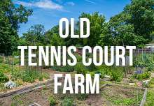 old_tennis_court