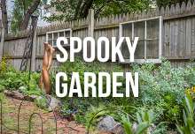 sppoky_garden