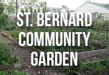 stbernard_community