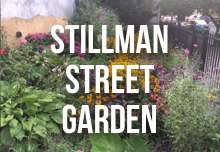 stillman_street