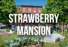 strawberry_mansion