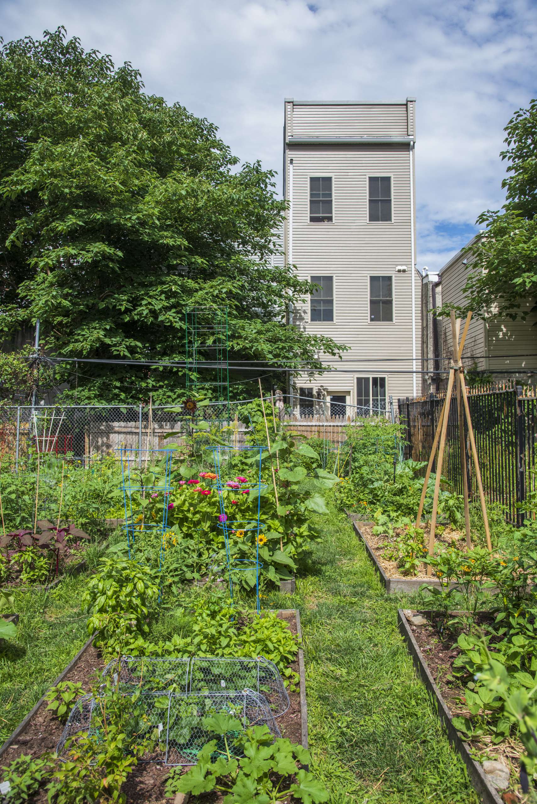 BOUVIER STREET GARDEN Neighborhood Gardens Trust