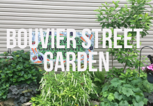 BOUVIER ST GARDEN WEBSITE